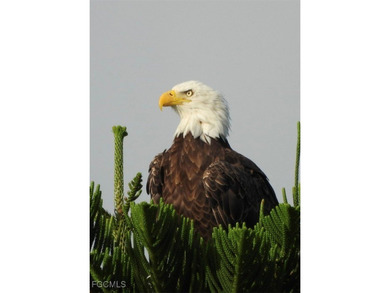 **WOW! A CORNER LOT*DBL GARAGE* AND AN EXTRA 2 SPACE PARKING on Cypress Lake Country Club in Florida - for sale on GolfHomes.com, golf home, golf lot