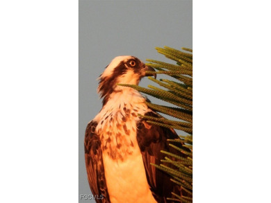 **WOW! A CORNER LOT*DBL GARAGE* AND AN EXTRA 2 SPACE PARKING on Cypress Lake Country Club in Florida - for sale on GolfHomes.com, golf home, golf lot