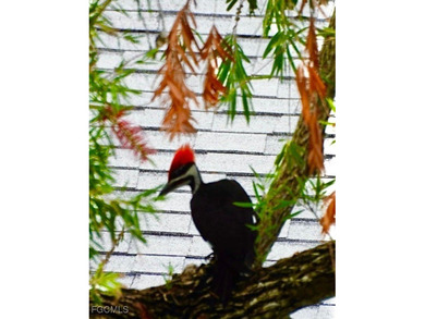 **WOW! A CORNER LOT*DBL GARAGE* AND AN EXTRA 2 SPACE PARKING on Cypress Lake Country Club in Florida - for sale on GolfHomes.com, golf home, golf lot