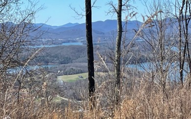 LAKE CHATUGE VIEWS PLUS LUXURY GOLF COURSE LIVING IN THE NORTH on Mountain Harbour Golf Club in North Carolina - for sale on GolfHomes.com, golf home, golf lot