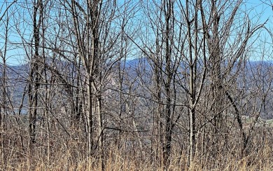 LAKE CHATUGE VIEWS PLUS LUXURY GOLF COURSE LIVING IN THE NORTH on Mountain Harbour Golf Club in North Carolina - for sale on GolfHomes.com, golf home, golf lot
