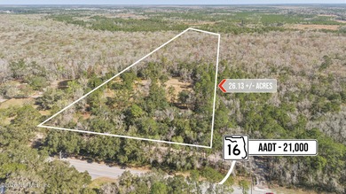 This +/-26.13 acre property at 3940 State Road 16 in St on King and Bear Golf Course/World Golf Village in Florida - for sale on GolfHomes.com, golf home, golf lot