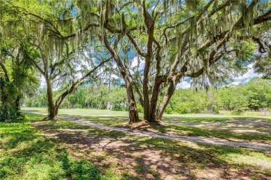 Discover the Perfect Blend of Luxury, Nature, & Recreation on on Sapelo Hammock Golf Club in Georgia - for sale on GolfHomes.com, golf home, golf lot