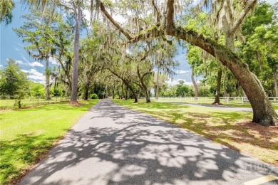 Discover the Perfect Blend of Luxury, Nature, & Recreation on on Sapelo Hammock Golf Club in Georgia - for sale on GolfHomes.com, golf home, golf lot