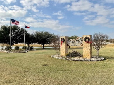 Beautiful vacant lot in White Bluff subdivision now available! on White Bluff Resort - New Course in Texas - for sale on GolfHomes.com, golf home, golf lot