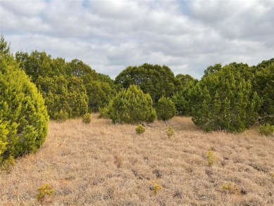 Beautiful vacant lot in White Bluff subdivision now available! on White Bluff Resort - New Course in Texas - for sale on GolfHomes.com, golf home, golf lot