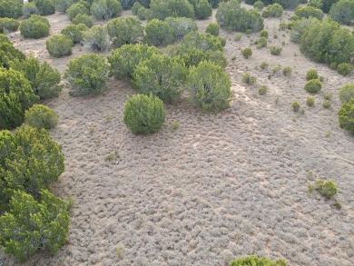 Beautiful vacant lot in White Bluff subdivision now available! on White Bluff Resort - New Course in Texas - for sale on GolfHomes.com, golf home, golf lot