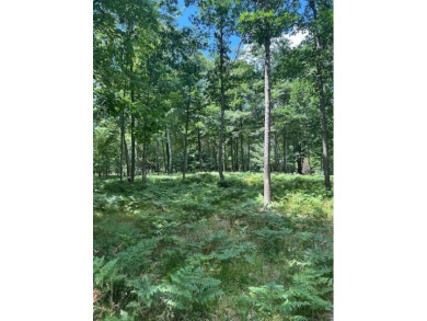 Welcome to your opportunity to build in the heart of the on Canadian Lakes Country Club-The Royal Course in Michigan - for sale on GolfHomes.com, golf home, golf lot
