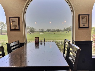 PAID OFF ONE YEAR OLD SOLAR PANELS!!! OVER $100K in redesign on Southern Dunes Golf and Country Club in Florida - for sale on GolfHomes.com, golf home, golf lot
