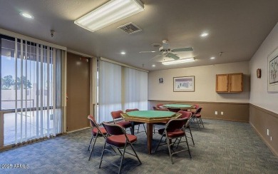 STUNNING REMODEL featuring RAISED CEILINGS, luxury wood-look on Sun Lakes Country Club in Arizona - for sale on GolfHomes.com, golf home, golf lot