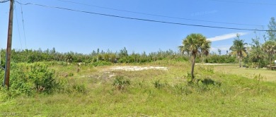 The ideal property for your dream home. Island life at its best! on Alden Pines Golf Club in Florida - for sale on GolfHomes.com, golf home, golf lot