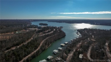 Are you dreaming of owning a Lake Home in Lake of the Ozarks? on The Oaks Golf Course in Missouri - for sale on GolfHomes.com, golf home, golf lot