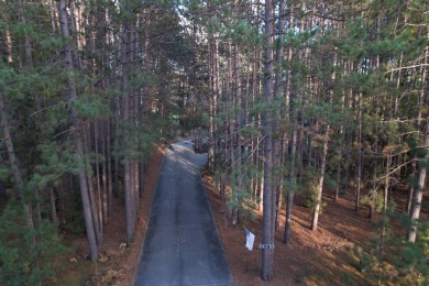 Spacious executive home on the beautiful Pines Golf Course in on Michaywe Pines Course in Michigan - for sale on GolfHomes.com, golf home, golf lot