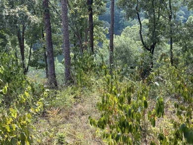 Lakefront lot backs up to *Snakehead Cove* (People have called on Mountain Ranch Golf Club in Arkansas - for sale on GolfHomes.com, golf home, golf lot