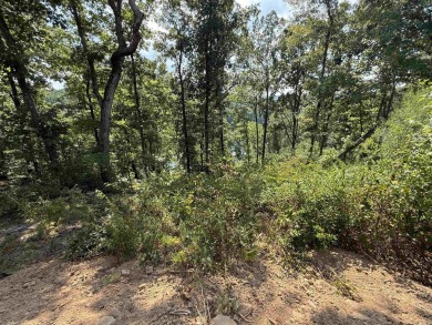 Lakefront lot backs up to *Snakehead Cove* (People have called on Mountain Ranch Golf Club in Arkansas - for sale on GolfHomes.com, golf home, golf lot