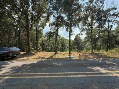 Lakefront lot backs up to *Snakehead Cove* (People have called on Mountain Ranch Golf Club in Arkansas - for sale on GolfHomes.com, golf home, golf lot