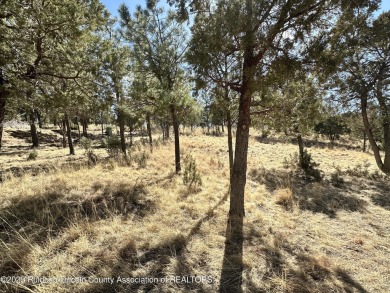 BEAUTIFUL VIEW LOT IN HIGH END SUBDIVISION!! Choice site and on Links at Sierra Blanca in New Mexico - for sale on GolfHomes.com, golf home, golf lot