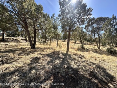 BEAUTIFUL VIEW LOT IN HIGH END SUBDIVISION!! Choice site and on Links at Sierra Blanca in New Mexico - for sale on GolfHomes.com, golf home, golf lot