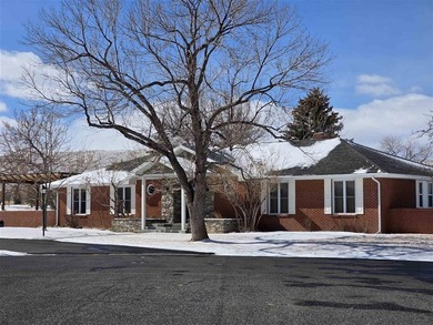 PRIVACY In Town.  Golfers can walk to #1 Tee and walk back home on Olive Glenn Golf and Country Club in Wyoming - for sale on GolfHomes.com, golf home, golf lot