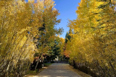 When they say ''It happened in Sun Valley'', it may have on Sun Valley Resort in Idaho - for sale on GolfHomes.com, golf home, golf lot