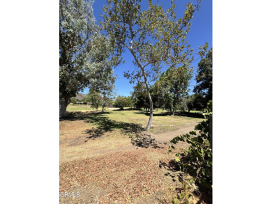 Bring your vision and customize this property into your very own on Lindero Country Club in California - for sale on GolfHomes.com, golf home, golf lot