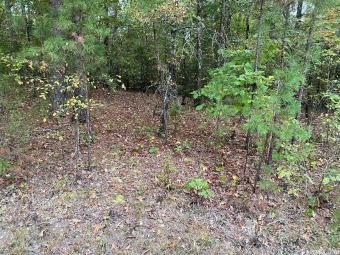 Beautiful lot located in Hot Springs Village, AR. Gold status on Diamante Golf and Country Club in Arkansas - for sale on GolfHomes.com, golf home, golf lot