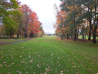 This 2 acre golf course lot (parcels B & C) is in the heart of on Michaywe Pines Course in Michigan - for sale on GolfHomes.com, golf home, golf lot