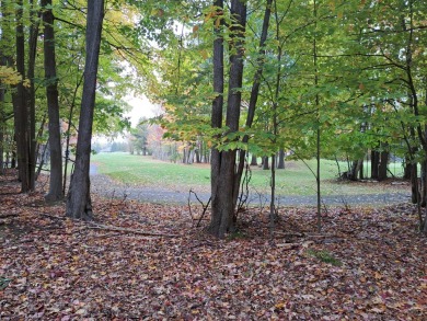 This 2 acre golf course lot (parcels B & C) is in the heart of on Michaywe Pines Course in Michigan - for sale on GolfHomes.com, golf home, golf lot