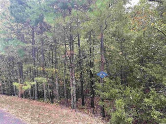 Gold Membership! Interior lot on Diamante. A Private Country on Diamante Golf and Country Club in Arkansas - for sale on GolfHomes.com, golf home, golf lot