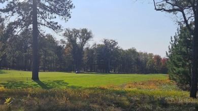 Ready to build your dream home? Check out this lovely lot on Forest Dunes Golf Club in Michigan - for sale on GolfHomes.com, golf home, golf lot