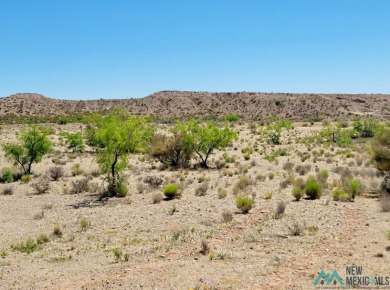 9+ Acre Parcel With Outstanding Visibility!! At The Corner Of on Sierra Del Rio Golf Club in New Mexico - for sale on GolfHomes.com, golf home, golf lot
