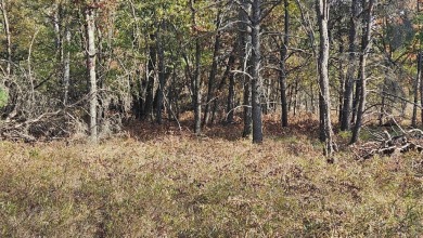 Ready to build your dream home? Check out this lovely lot on Forest Dunes Golf Club in Michigan - for sale on GolfHomes.com, golf home, golf lot