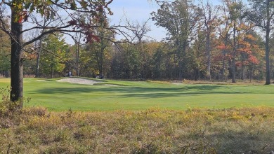 Ready to build your dream home? Check out this lovely lot on Forest Dunes Golf Club in Michigan - for sale on GolfHomes.com, golf home, golf lot