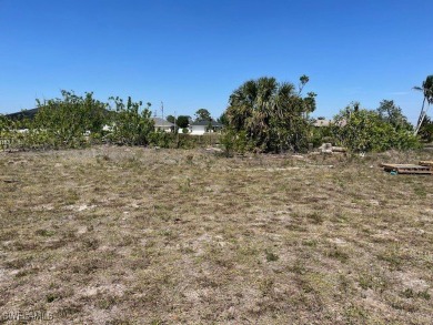 Build your new home on this wide, fresh water canal. Enjoy SW on Burnt Store Golf Club in Florida - for sale on GolfHomes.com, golf home, golf lot