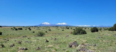 Beautiful mountain views and easy access!  Available now is this on Walsenburg Golf Club in Colorado - for sale on GolfHomes.com, golf home, golf lot