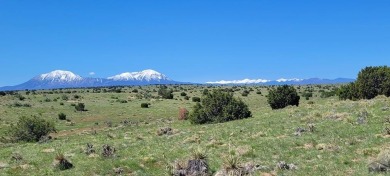 Beautiful mountain views and easy access!  Available now is this on Walsenburg Golf Club in Colorado - for sale on GolfHomes.com, golf home, golf lot
