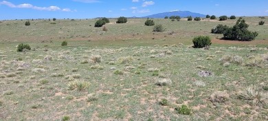 Beautiful mountain views and easy access!  Available now is this on Walsenburg Golf Club in Colorado - for sale on GolfHomes.com, golf home, golf lot