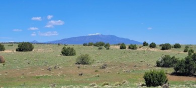 Beautiful mountain views and easy access!  Available now is this on Walsenburg Golf Club in Colorado - for sale on GolfHomes.com, golf home, golf lot