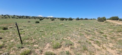 Easy access and no HOA!  This 2.57 acre property could be what on Walsenburg Golf Club in Colorado - for sale on GolfHomes.com, golf home, golf lot