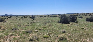 Easy access and no HOA!  This 2.57 acre property could be what on Walsenburg Golf Club in Colorado - for sale on GolfHomes.com, golf home, golf lot
