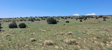Easy access and no HOA!  This 2.57 acre property could be what on Walsenburg Golf Club in Colorado - for sale on GolfHomes.com, golf home, golf lot