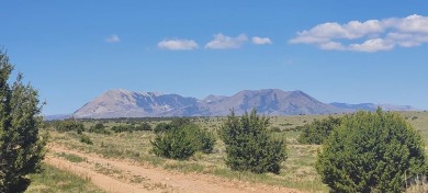 Easy access and no HOA!  This 2.57 acre property could be what on Walsenburg Golf Club in Colorado - for sale on GolfHomes.com, golf home, golf lot