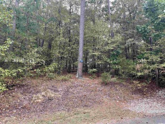 Prime Diamante Golf Frontage Lot! Build your Dream home in this on Diamante Golf and Country Club in Arkansas - for sale on GolfHomes.com, golf home, golf lot
