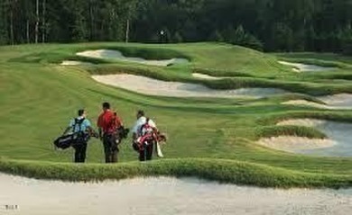 Don't miss this rare opportunity to own a stunning home in the on Hasentree Club in North Carolina - for sale on GolfHomes.com, golf home, golf lot