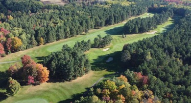 Once in a lifetime opportunity to own property surrounding 3 on Michaywe Pines Course in Michigan - for sale on GolfHomes.com, golf home, golf lot