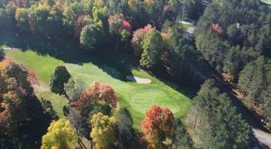 Once in a lifetime opportunity to own property surrounding 3 on Michaywe Pines Course in Michigan - for sale on GolfHomes.com, golf home, golf lot