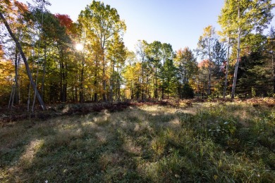 Once in a lifetime opportunity to own property surrounding 3 on Michaywe Pines Course in Michigan - for sale on GolfHomes.com, golf home, golf lot