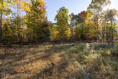 Once in a lifetime opportunity to own property surrounding 3 on Michaywe Pines Course in Michigan - for sale on GolfHomes.com, golf home, golf lot