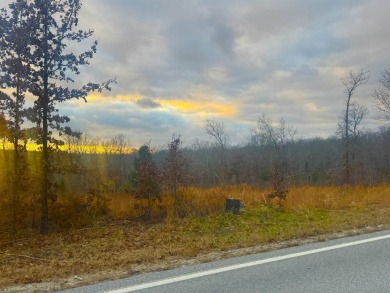 Looking for the perfect piece of land in Horseshoe Bend on The Course At Turkey Mountain in Arkansas - for sale on GolfHomes.com, golf home, golf lot