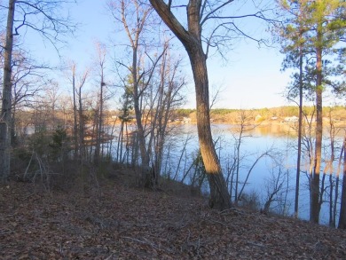 If you are ALL ABOUT THE VIEW, this 1-acre lake lot offers an on The Links At Stoney Point in South Carolina - for sale on GolfHomes.com, golf home, golf lot